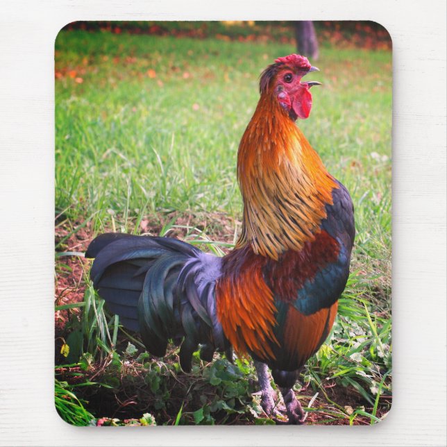 Tupp Crowing Natature Musmatta (Framsidan)