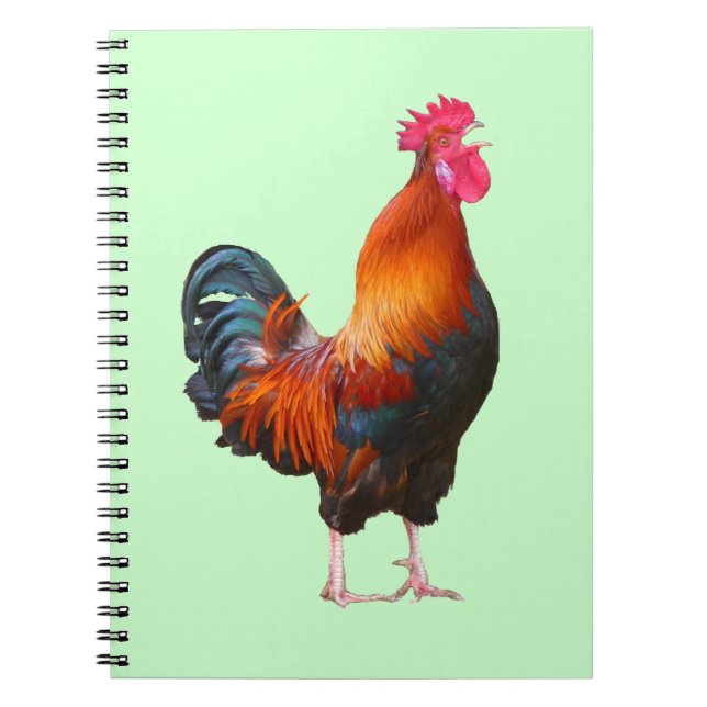 Tupp Crowing Notebook Anteckningsbok Med Spiral (Framsidan)