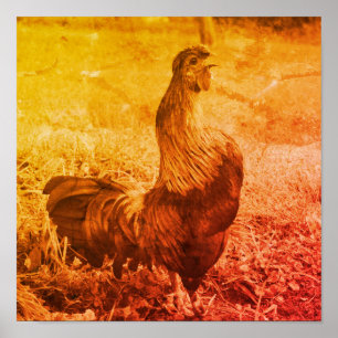 Tupp Crowing Vintage Sepia Farm Animal Poster
