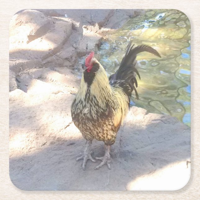 Tupp Drink Coasters Underlägg Papper Kvadrat (Framsidan)