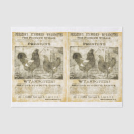 Tupp (dubbla bilder)