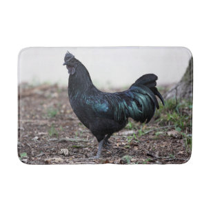 Tupp för höna för Ayam Cemani ungtuppsvart Badrumsmatta