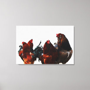 Tupp Gang Chicken Photographic Art Canvas