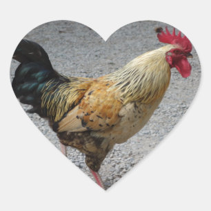 Tupp Heart Sticker Hjärtformat Klistermärke