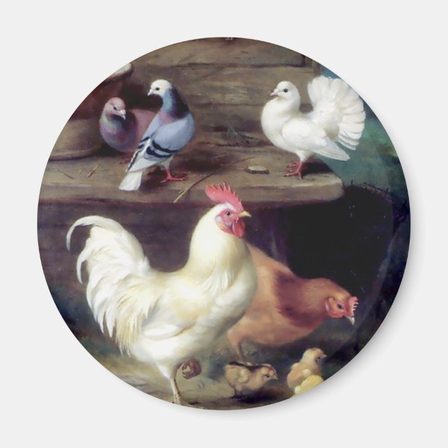 Tupp Hen Chicken Doves Magnet (Framsidan)