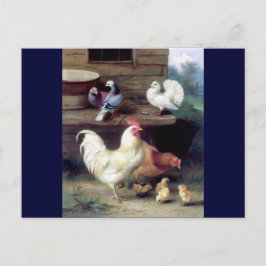 Tupp Hen Chicken Doves Vykort