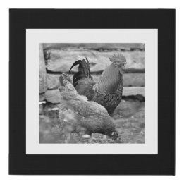 Tupp Hen Chickens Farm Black White Gallery Wall