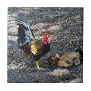 Tupp, Hen och Chickar Kakelplatta