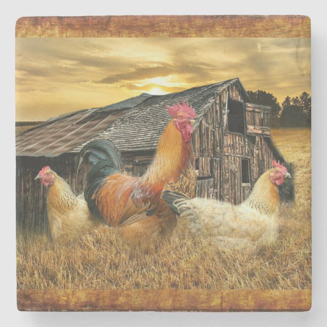 Tupp Hens Rustic Barn Coop Stenunderlägg (Framsidan)