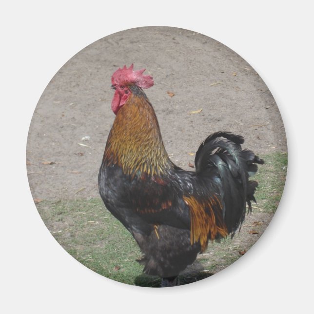 tupp magnet (Framsidan)