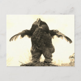 Tupp Man - Vykort