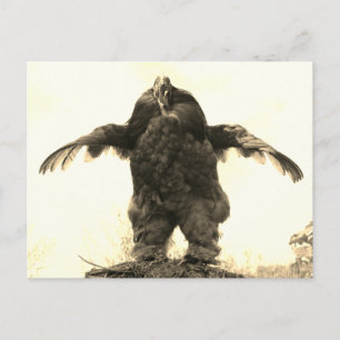 Tupp Man - Vykort