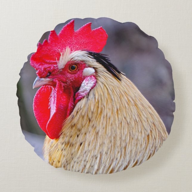 Tupp med Cockscomb Rund Kudde (Framsidan)