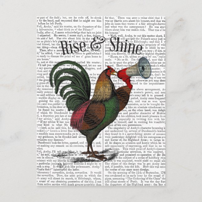 Tupp med Loudhailer 2 Vykort (Framsida)