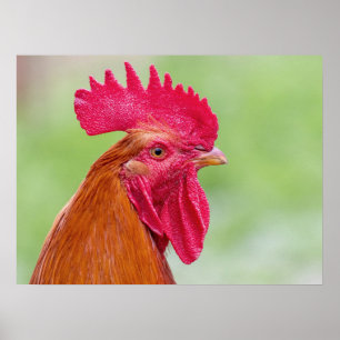 Tupp nära anslutning poster