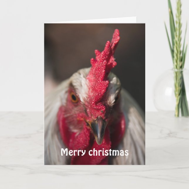 Tupp nära porträtt-julmas helgkort (Framsida)