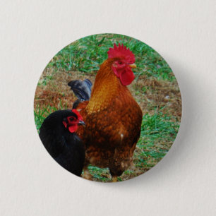 Tupp och Black Hen Knapp