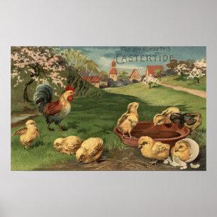 Tupp och Chickar Poster