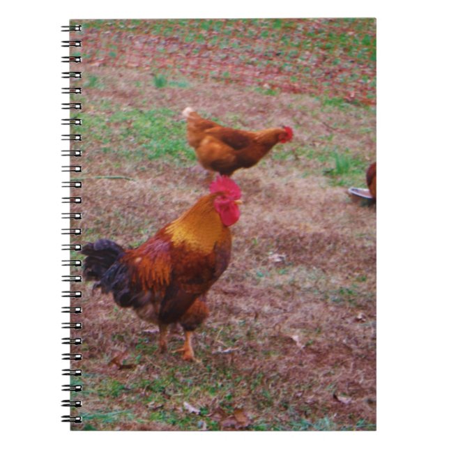 Tupp och hans höns anteckningsbok med spiral (Framsidan)