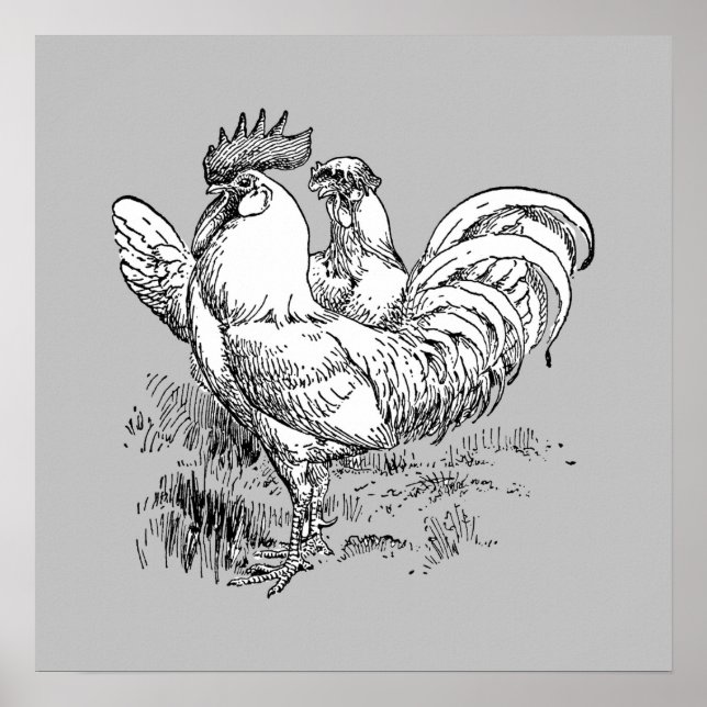 Tupp och HEN - Arkivutskrift Poster (Framsidan)