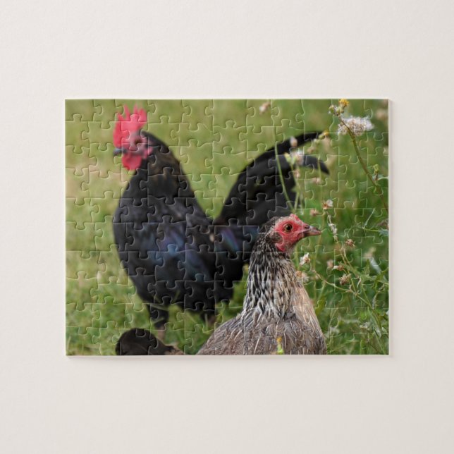 Tupp och Hen Pussel (Horisontell)