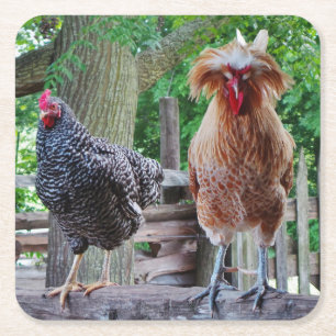 Tupp och Hen Underlägg Papper Kvadrat