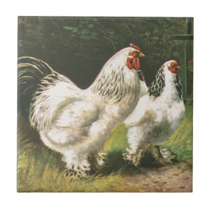 Tupp och höna kakelplatta