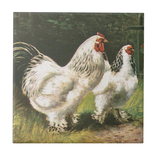 Tupp och höna kakelplatta (Framsidan)