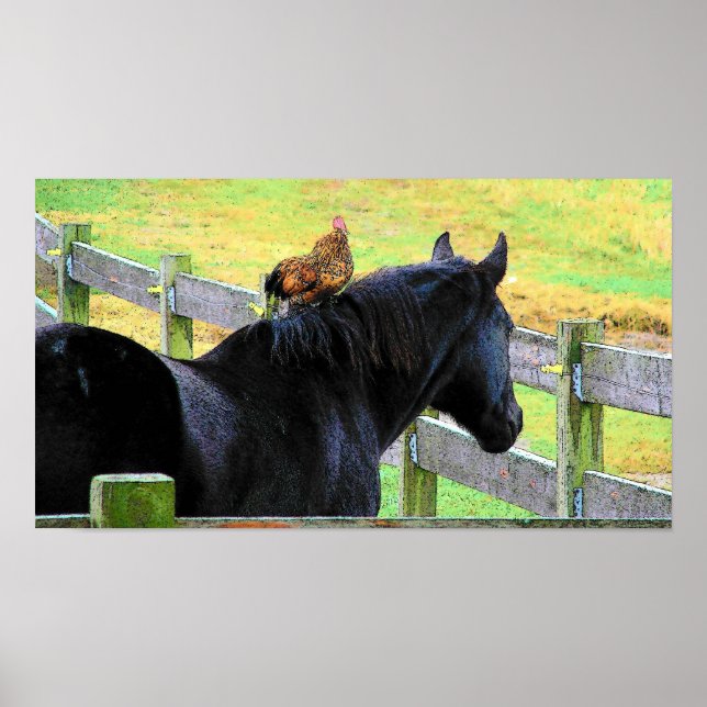 Tupp och Mare Poster (Framsidan)