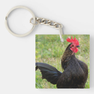 Tupp Porträtt
