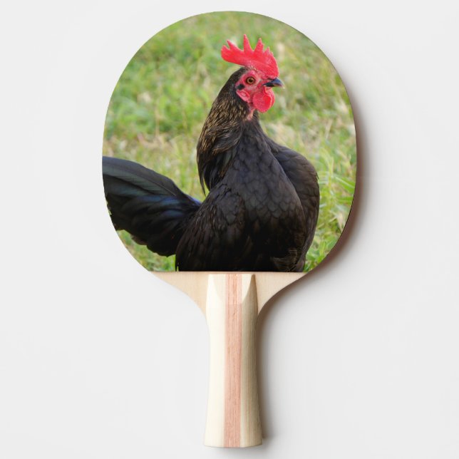 Tupp Porträtt Pingisracket (Framsidan)