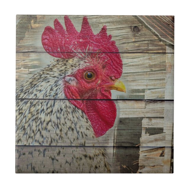 Tupp Rustic Chicken Coop Barn Board Kakelplatta (Framsidan)