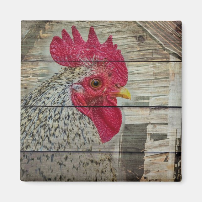 Tupp Rustic Chicken Coop Barn Board Magnet (Framsidan)