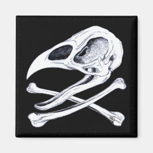 Tupp Skull och korsben Magnet