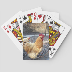 Tupp Spel Kort