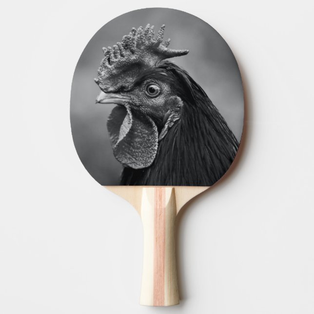 Tupp Svart och Vit Pingisracket (Framsidan)