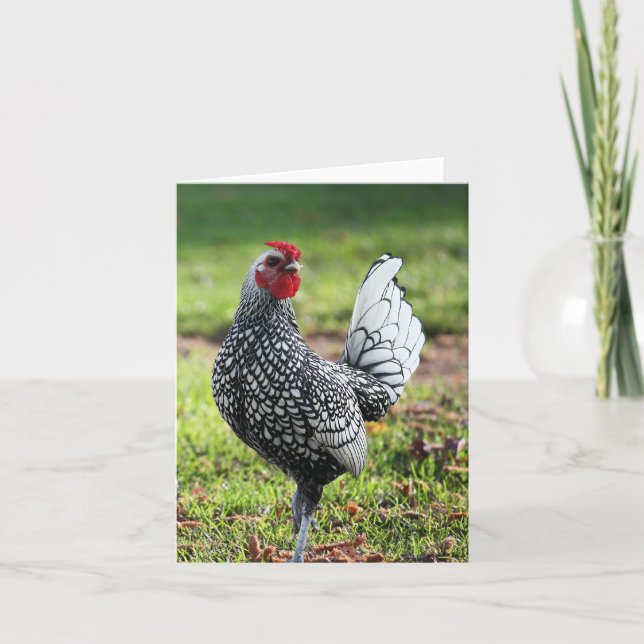 Tupp, tomt kort (Framsida)