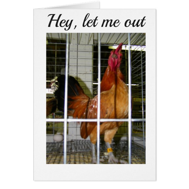 TUPP VILL SÄGA SIN BIRTHDAY ÖNSKEMÅL TILL DIG! HÄLSNINGSKORT (Framsidan)