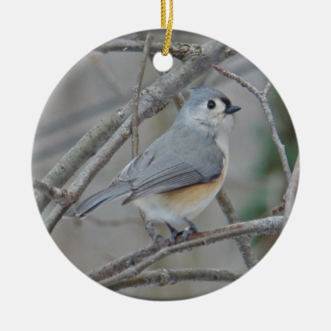 Tuppad timus (Baeolophus bicolor) Ornament (Framsidan)