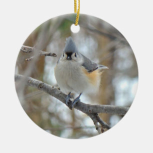 Tuppad timus (Baeolophus bicolor) Ornament