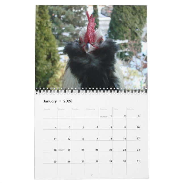Tuppar 2016-kalender kalender (Jan 2026)