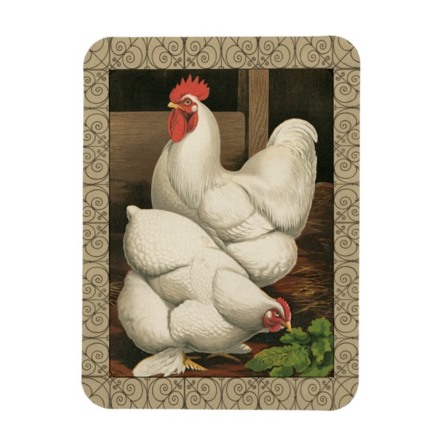 Tuppar & Hen utanför Hen House med White Gräns Magnet (Vertikal)