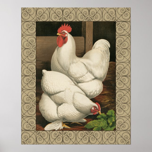 Tuppar & Hen utanför Hen House med White Gräns Poster (Framsidan)