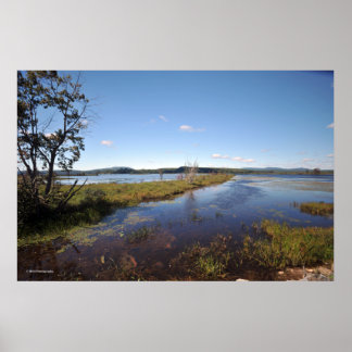 Tupper Sjö i Adirondacks. skriv 08 240 Poster