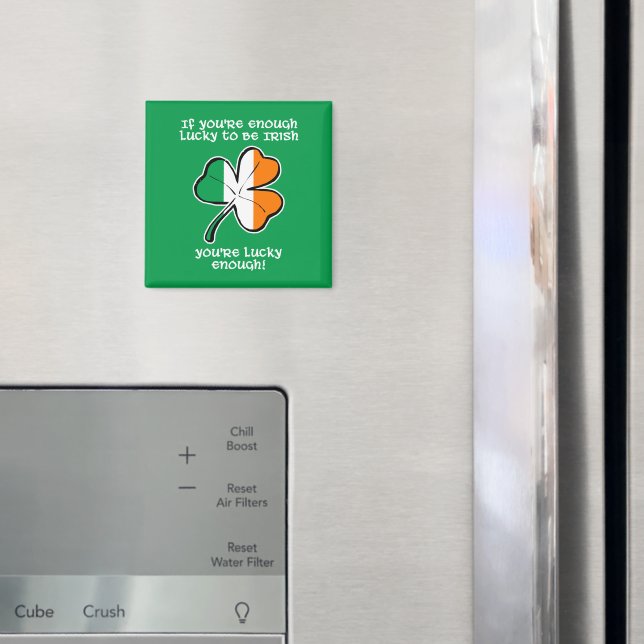 Tur att vara irländsk magnet (In Situ (Fridge))