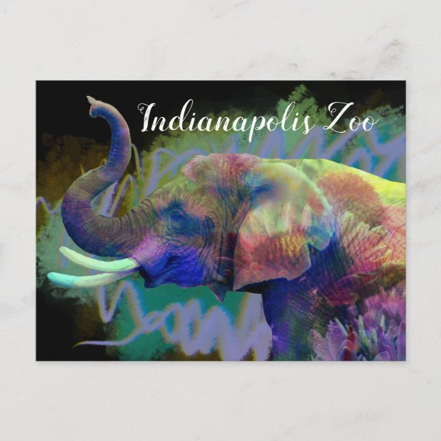 Tur i näsfärgat elefant vykort (Framsida)