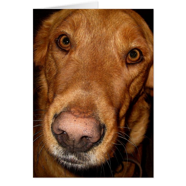 tur II Hälsningskort (Framsidan)