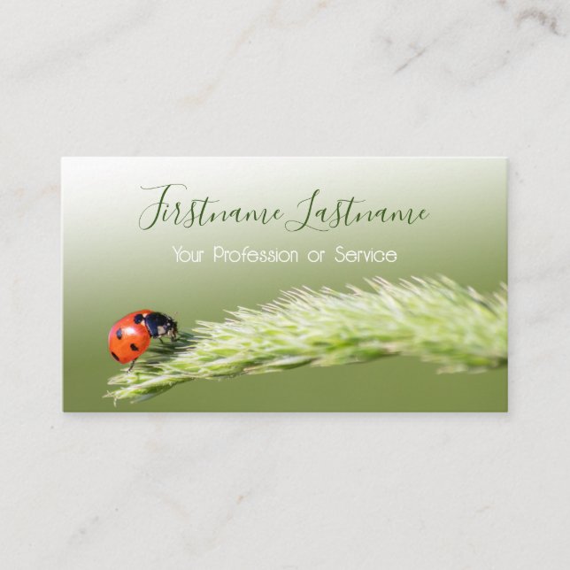Tur kunder med lyckliga ladybuggar! visitkort (Framsida)