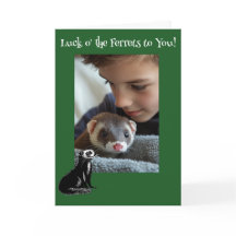 Tur o'the Ferrets Ferret St. Patrick's Day