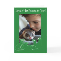 Tur o'the illrets St. Patrick's Day